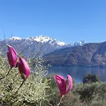 2 Livelli Con Vista Di *